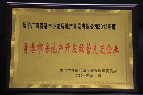 小龙地产荣获2013年度"贵港市房地产开发经营先进企业"称号